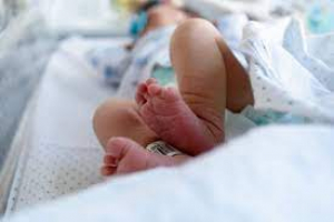 Bebé Ida Pozitivu Covid-19, Hafoin Moris Iha Izolamentu Vera Cruz