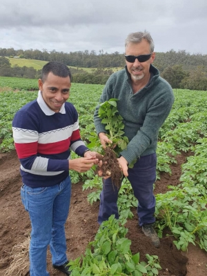 Adidu Trabalho TL ba Australia, Antonio Armindo ho To&#039;os na&#039;in iha hela to&#039;os laran