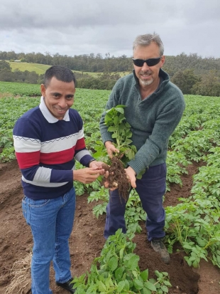 Adidu Trabalho TL ba Australia, Antonio Armindo ho To&#039;os na&#039;in iha hela to&#039;os laran
