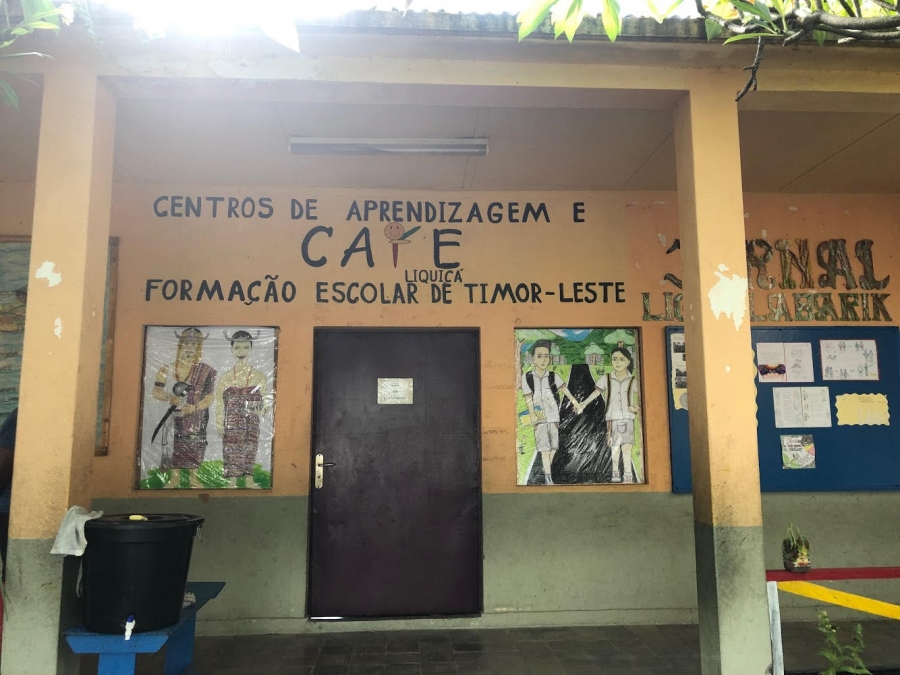 The CAFE (Education Centre for Training and Learning) School in the town of Likisa Municipality (22/4)