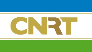 Bandeira Partidu CNRT.
