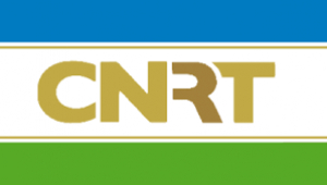 Bandeira Partidu CNRT.