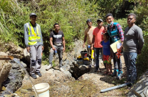 Ekipa Bee Timor-Leste halo levantamentu ba bee matan iha Munisipiu Ermera.