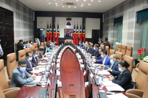 Governu Aseita Estabelese Rejime Juridiku PPP Servisu Diagnostiku