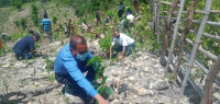 NGO C3 ho AMC Kuda Ai-Oan Rihun 11 iha Postu Tilomar