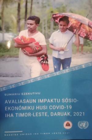 Sumáriu Ezekusaun 