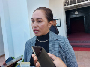 Vise-Ministra Solidariedade Sosial no Inkluzaaun (Vise-MSSI), Signi Verdial ko’alia hela ba media hafoin reuniaun Konsellu Ministru iha Palásiu Governu, kuarta (01/02).