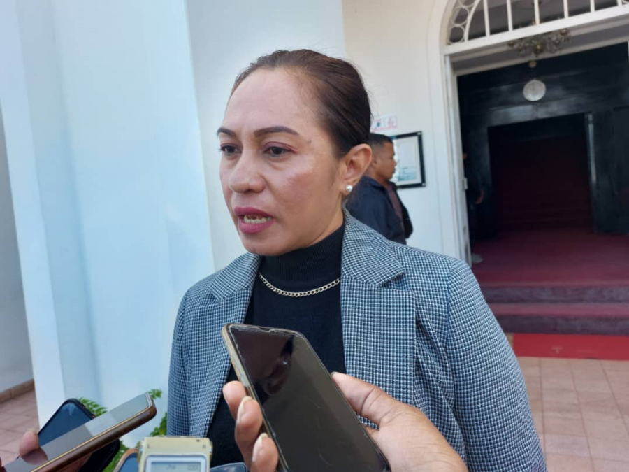 Vise-Ministra Solidariedade Sosial no Inkluzaaun (Vise-MSSI), Signi Verdial ko’alia hela ba media hafoin reuniaun Konsellu Ministru iha Palásiu Governu, kuarta (01/02).
