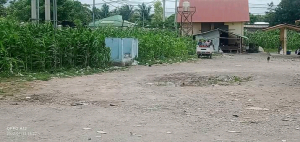 Batar ne’ebé komunidade kuda iha áredores terminal Baukau.