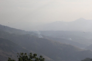 Ahi han rai iha area Likuisa ho Ermera iha Oetobru 2019