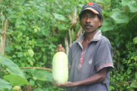 Loron Mundial Aihan, MAP husu Kuda Aihan Nutrivu