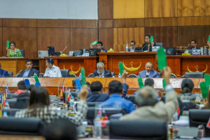 Membru Parlamentu Nasional sira halo votasaun ba Orsamentu Retifikativu iha espesialidade.