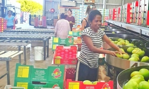 Timoroan Feto ida serbisu hela iha kompana ida iha Australia