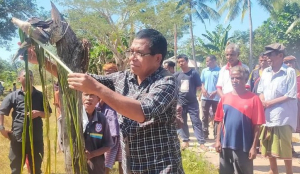 Sekretáriu Estadu Ambiente (SEA), Demetrio do Amaral de Carvalho, partisipa hela atividade tara bandu.