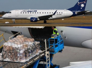 Aviaun Air North hatun ekipamentus relasiona ho Covid 19 iha aeroportu Dili iha fulan kotuk