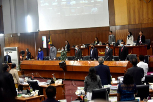 Abertura Plenaria PN hodi hahu halo debate OJE 2020