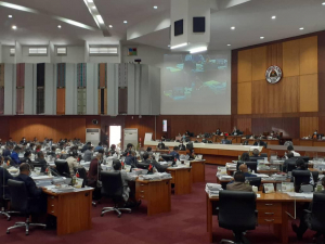 Plenaria Parlamentu nasional