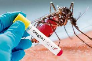 Moras Dengue ne&#039;ebe fo ameasa ba komunidade sira.