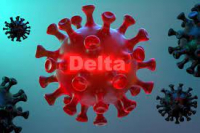 CNRT Deskonfia MS Lori Variante Delta Mai Dili