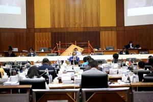 MAPKomS, Francisco Jeronimo iha plenaria Parlamentu Nasional