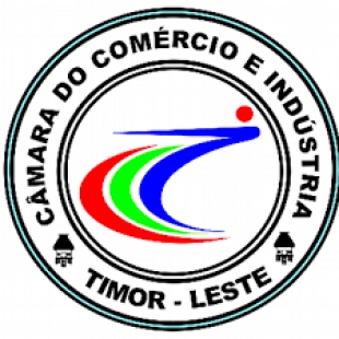 CCITL Apoiu BCCF ba Emprezáriu iha TLs
