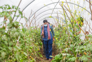 Xefe Casa Sivíl Prezidente Repúblika, Francisco Maria de Vasconcelos, Vizita hela produsaun Movimentu Agrikultura Progresivu (MAP) iha Ainaro, tersa (17/08).