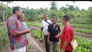 SEKoop, Elizário Ferreira, konversa hela ho koordenadór Grupu Ortikultura Barkaun, Anibal dos Santos Cardoso, iha Suku Maubara Lissa, sábadu (26/06). 