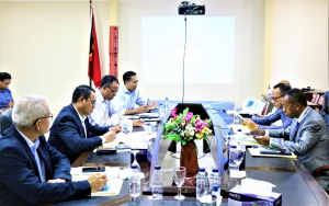 Steering Committe halo diskusaun preparasaun ba operasaun Portu Tibar.