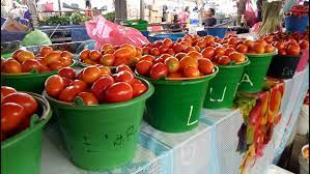 produtu lokal Tomate iha merkadu