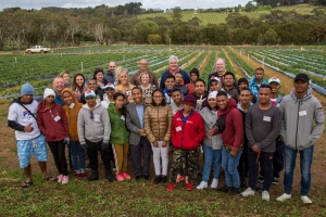 Primeiru Sekretariu Embaixada Timor Leste iha canberra, Samuel So&#039;ares foto hamutuk ho serbisu na&#039;in Timor oan sira (seasonal workers) iha Mornington Peninsula, Victoria Australia(6/11/2019)