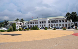 Palasiu governu 