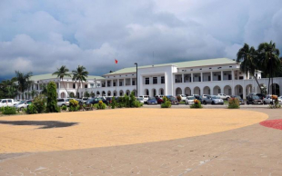 Palasiu governu 