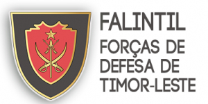 Emblema F-FDTL.