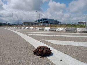Aeroportu Internasional, Kay Rala Xanana Gusmao, Covalima vs foer Karau nian