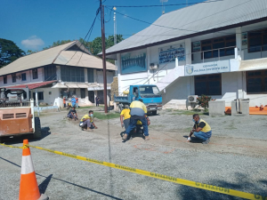 TLPDP orienta hela kompañia lokal balu hodi halo manutensaun ba jeradór PNTL munisipiu Dili nian inklui kee rai kuak hodi hakoi fiu eletrisidade iha rai okos iha kaikoli, segunda (07/06).