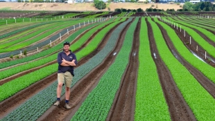Bulmers Farms Austrália  Rekruta Traballadór TL