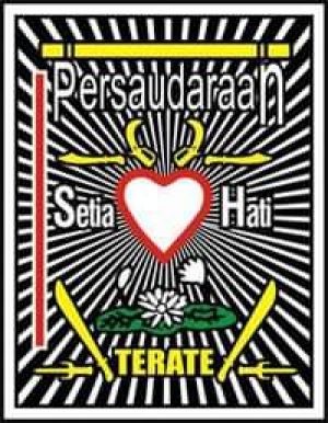 Lere Husu PSHT Organiza-an Sa&#039;e Sintu Iha TL