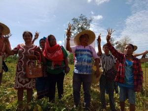 SEKoop Elizario Ferreira hamutuk ho membru Kooperativa Feto sira iha Suai, koileta hela foretali metan