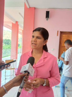 Diretora Centru Quesadhip Ruak, Isabel da Costa Ferreira ko’alia ba Jornalista sira (2/10)