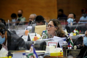 Deputada Bankada CNRT, Carmelita Caetano Moniz iha plenaria Parlamentu Nasional