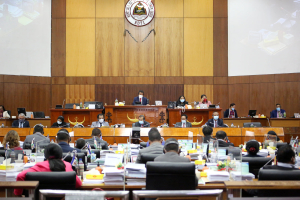 Plenaria Parlamentu Nasional