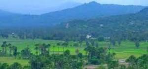 Natar iha Laga.
