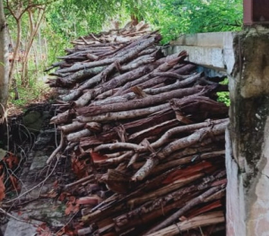 Ai-sunu karreta rua ne&#039;ebé Floresta Planatasaun Indústria Baukau prende, tersa (15/03).