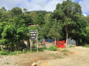 PUBLISIDADE: Open Letter from Donor to Topu Honis
