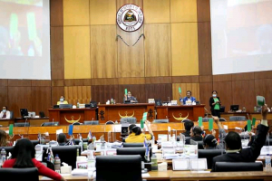 Deputadu sira tur hela iha plenaria Parlamentu Nasional.