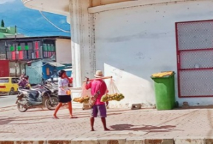 Povu ai-leba ida ne&#039;ebe leba hela sasan fa&#039;an hodi sustenta moris iha dili laran.