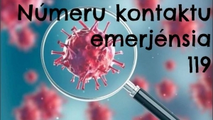 Hakarak Salva Vida Bainhira Hetan Sintoma  Kontaktu 119